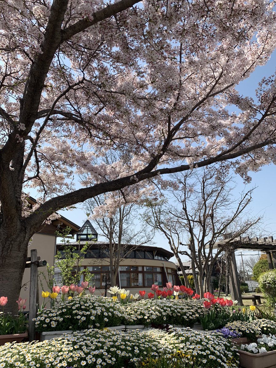 s8k1z's tweet photo. ぽかぽかお散歩日和🌸🌷
#SpringWithSeungmin
#승민 #seungmin
#StrayKids https://t.co/R7zZBMljxb