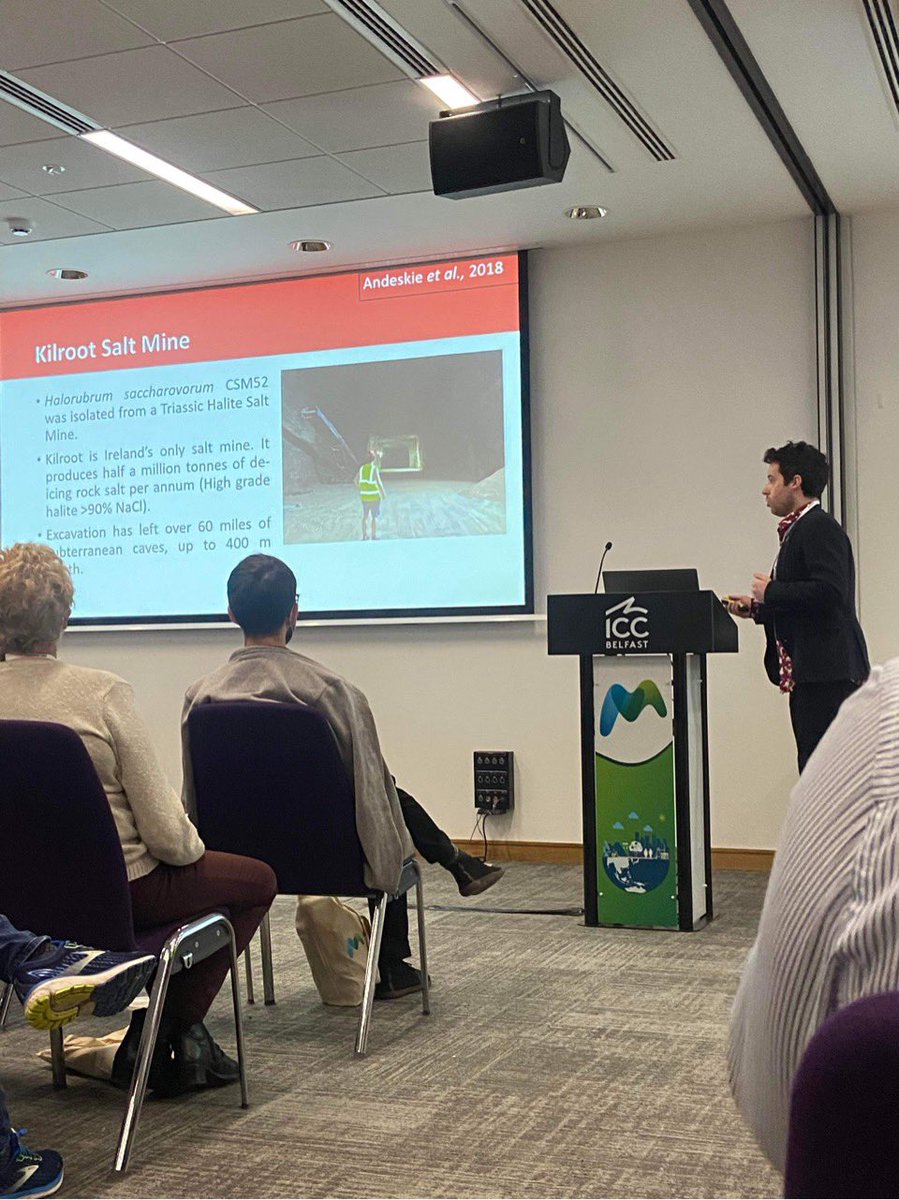pharmacyatQUB's tweet photo. The annual conference of the Microbiology Society took place in Belfast. We could not miss this opportunity to share our research there. We are proud of our representation there. @Akash_QUB @Thomacillin @BronaghElmore @BrendanFGilmore @timskvortsov 
#Microbio22 @MicrobioSoc https://t.co/QXJNGhw630