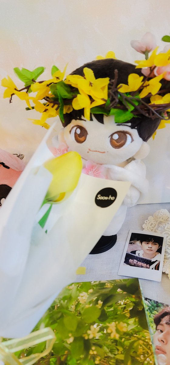 🌸 4월 9일 11시에 오픈합니다

📍성수 벨르보떼플라워
🗺 서울 성동구 성덕정길 127 1층

#너를보고싶어서봄을기다렸어 

#유선호 #yooseonho #yoo_seonho