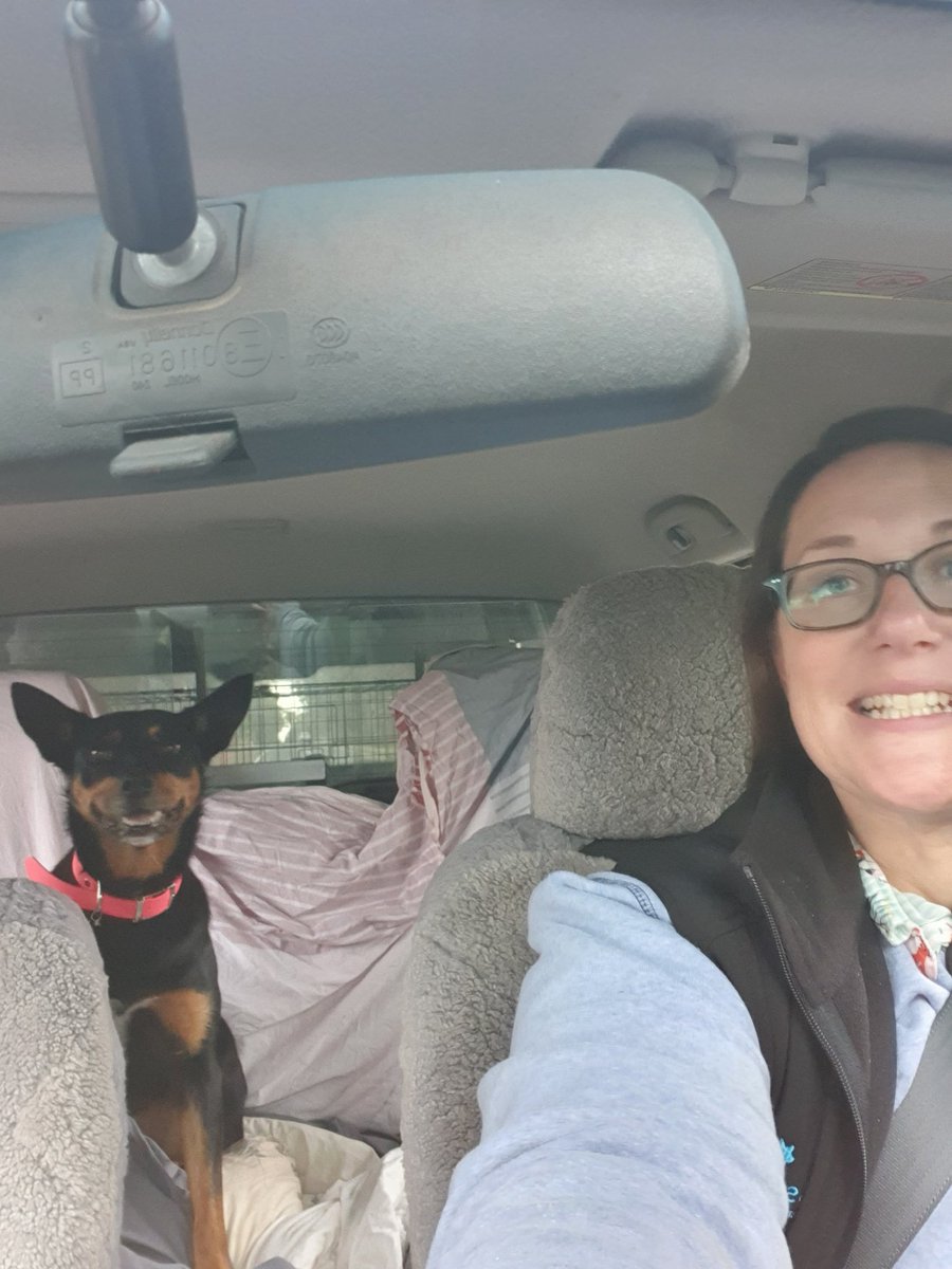 KB_and_Dug's tweet photo. The Power of the Pooch! 

At the Upper Murray Field Days with BushfireRecoveryVictoria chatting mental health and resilience...the stars of the show were Jess and Ashley 🐶 
They flashed their smiles and put on their best puppy dog eyes to open up so many valuable conversations https://t.co/KBV2HjfG0U