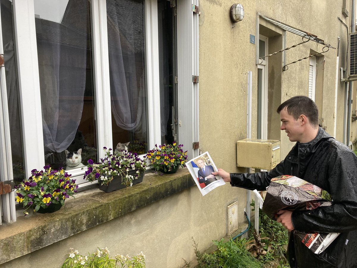 GenerationZ_61's tweet photo. Distribution du #ZemmourProgramme dans les boîtes aux lettres de Tourouvre en plus du tractage marché.
La jeunesse de l’#Orne mobilisée jusqu’au bout pour la #Reconquête !
#presidentielles2022 #ZemmourJeunes #JeVoteZemmourLe10avril #JeFaisMentirLesSondages #Normandie #Perche https://t.co/gqEPp0R0sp