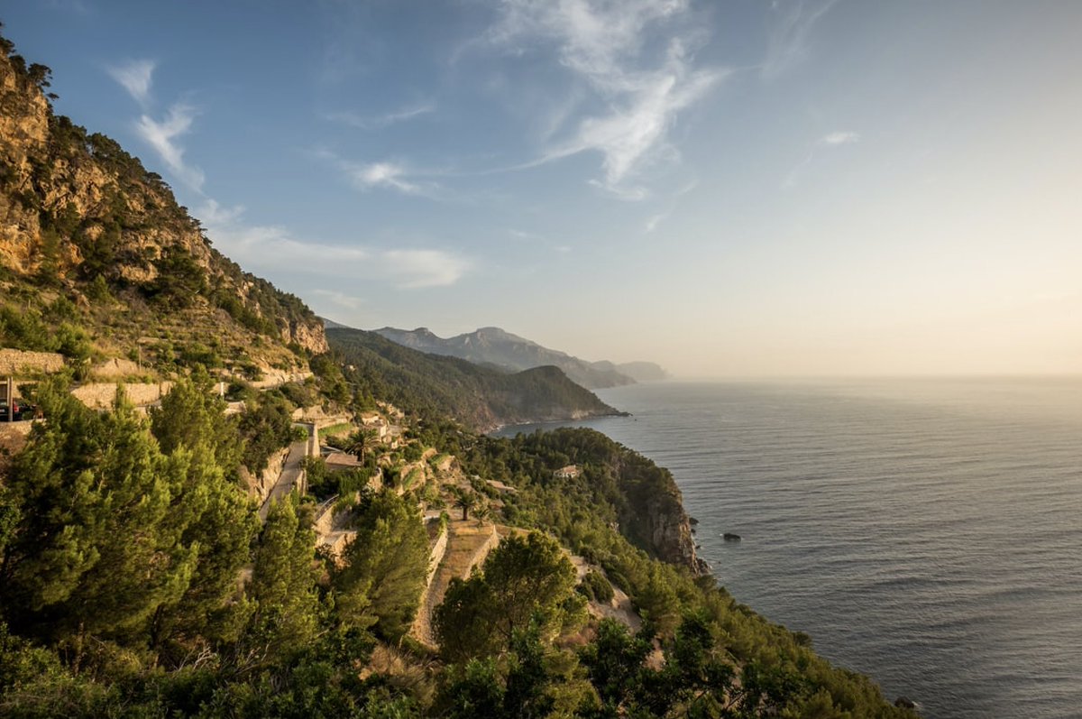 Action Group tweet media