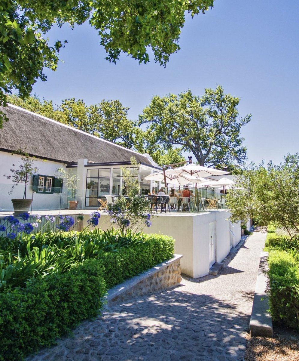 The Werf terrace is the best spot to soak up the tranquillity and beauty of the farm. Each and every dish we serve showcases our bountiful Werf Food Garden, and the best produce that the Winelands has to offer.⁠

Book your table here: bit.ly/35RBQni