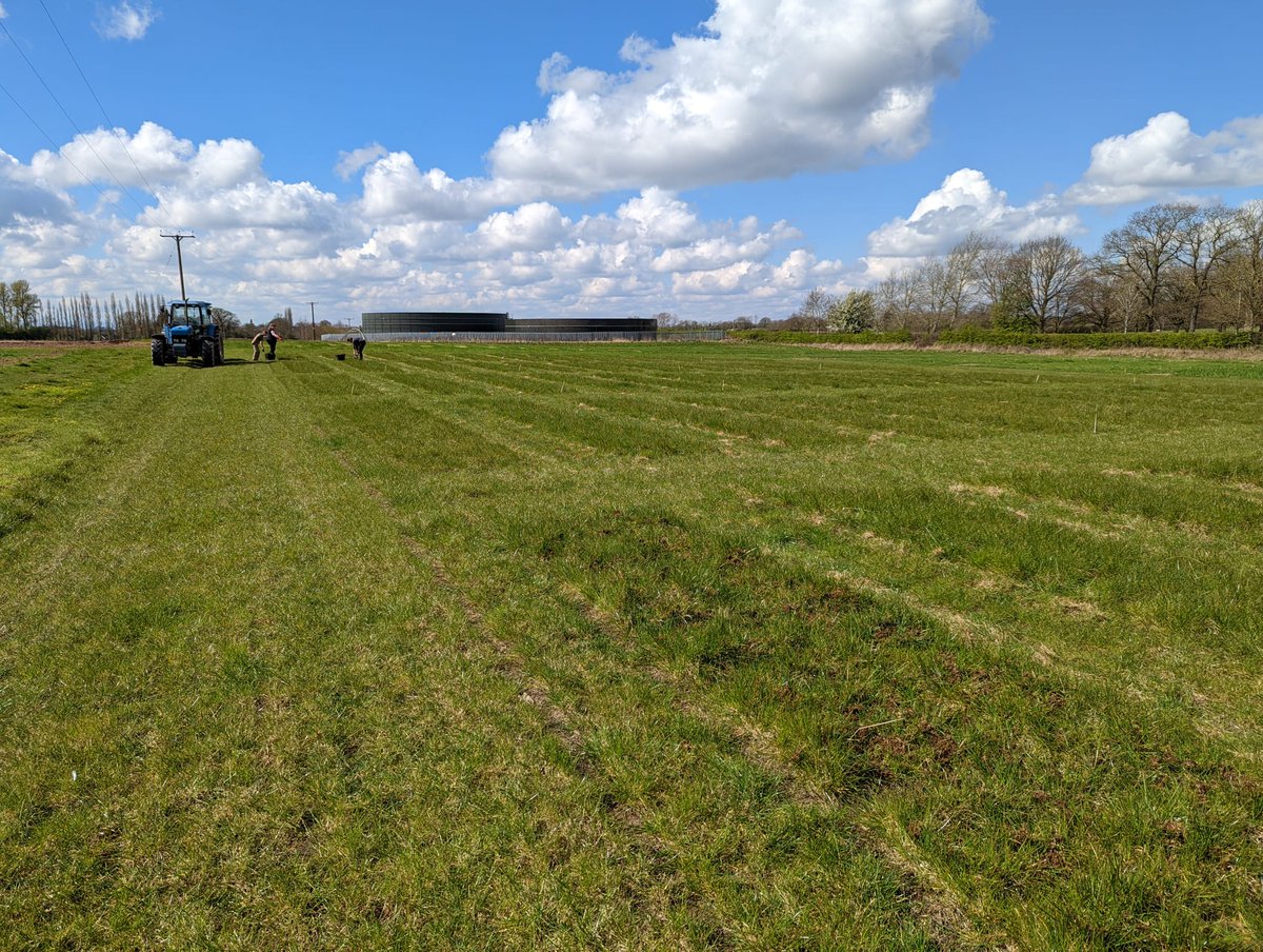 Dr Grace Milburn tweet media