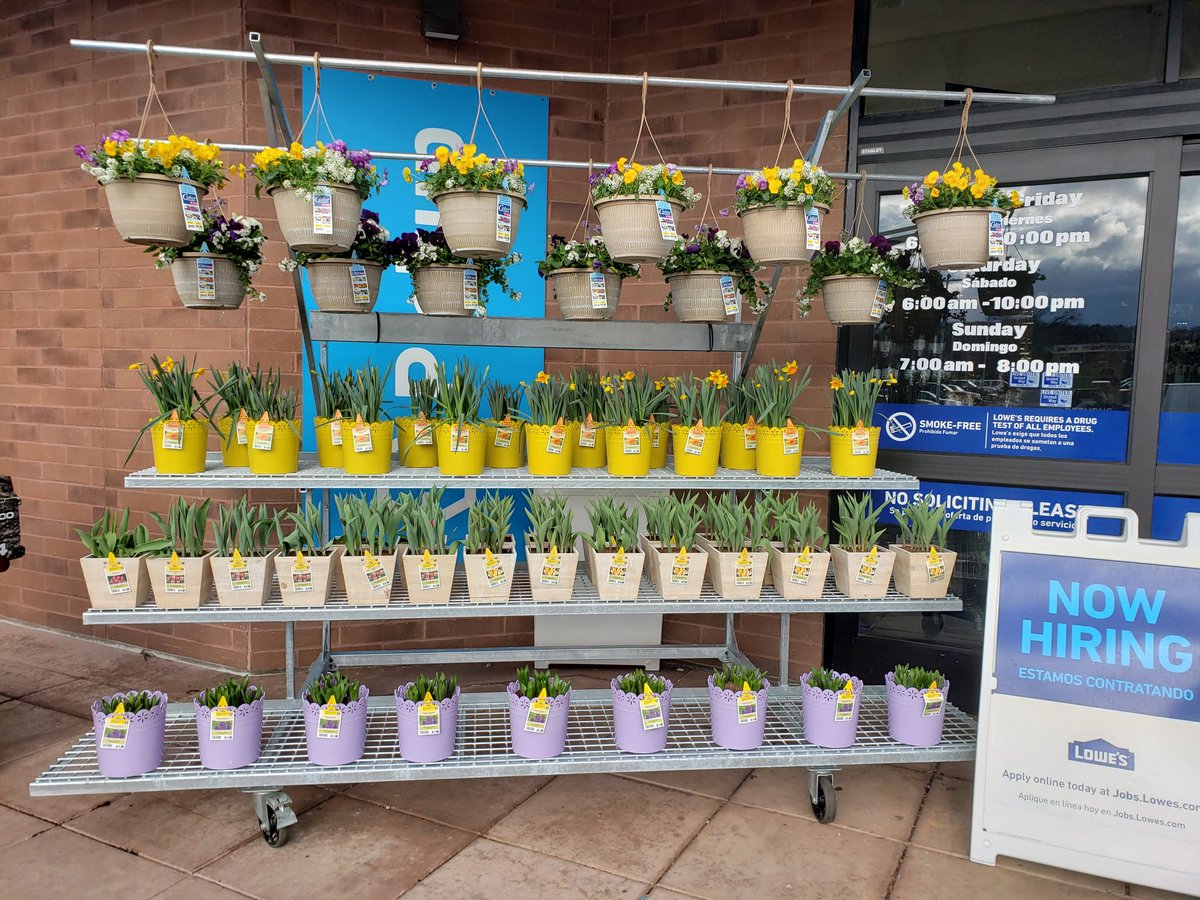 Jenilin Faust tweet media