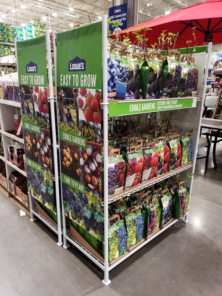 Jenilin Faust tweet media