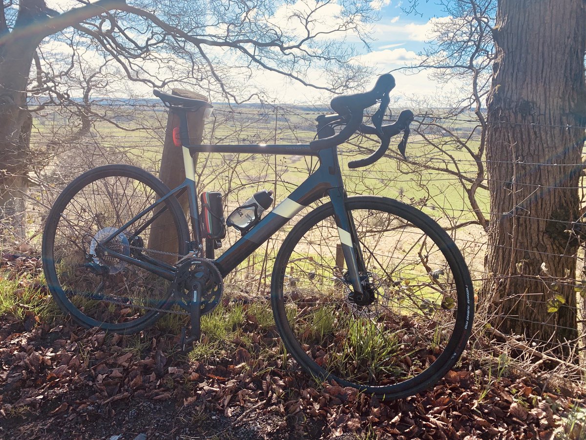 Ernest Edmonds tweet media