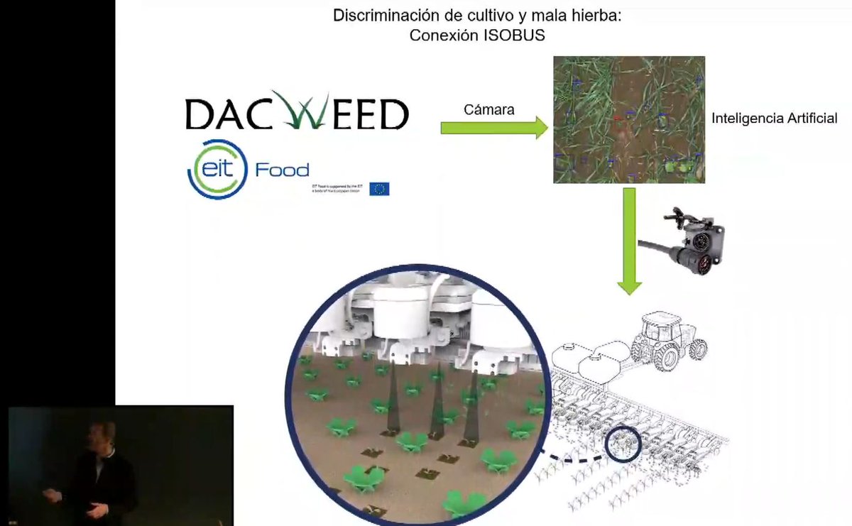 DACWEED tweet media