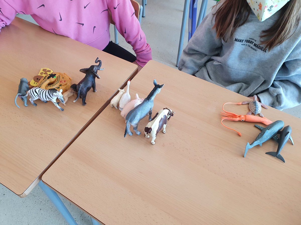 ie_martamata's tweet photo. Els alumnes de 4t hem descobert el nou projecte dels animals gràcies al tacte.
"Em sembla que és un..." #PriIEMM https://t.co/33GokZFMlA