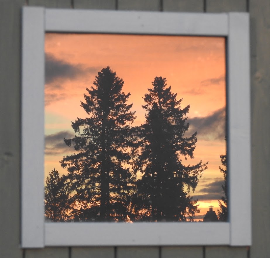 martinclassenn's tweet photo. Sometimes a small window can reflect the beauty of the entire planet. Good afternoon 💛 https://t.co/fFmrrUQU6x