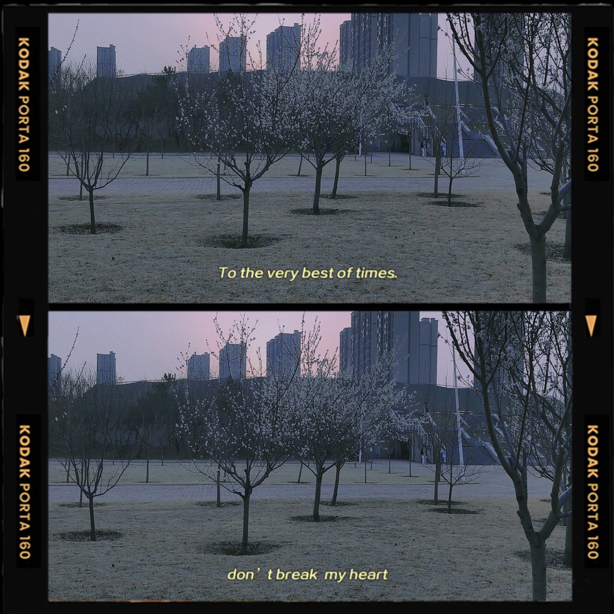 P99Lxy's tweet photo. Spring is coming，a beautiful https://t.co/0SjH9kz5MR&amp;Goodliness💖💖 https://t.co/nyABVMsjYa
