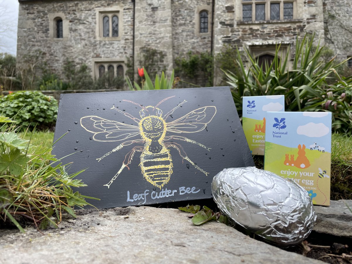 Cotehele NT tweet media