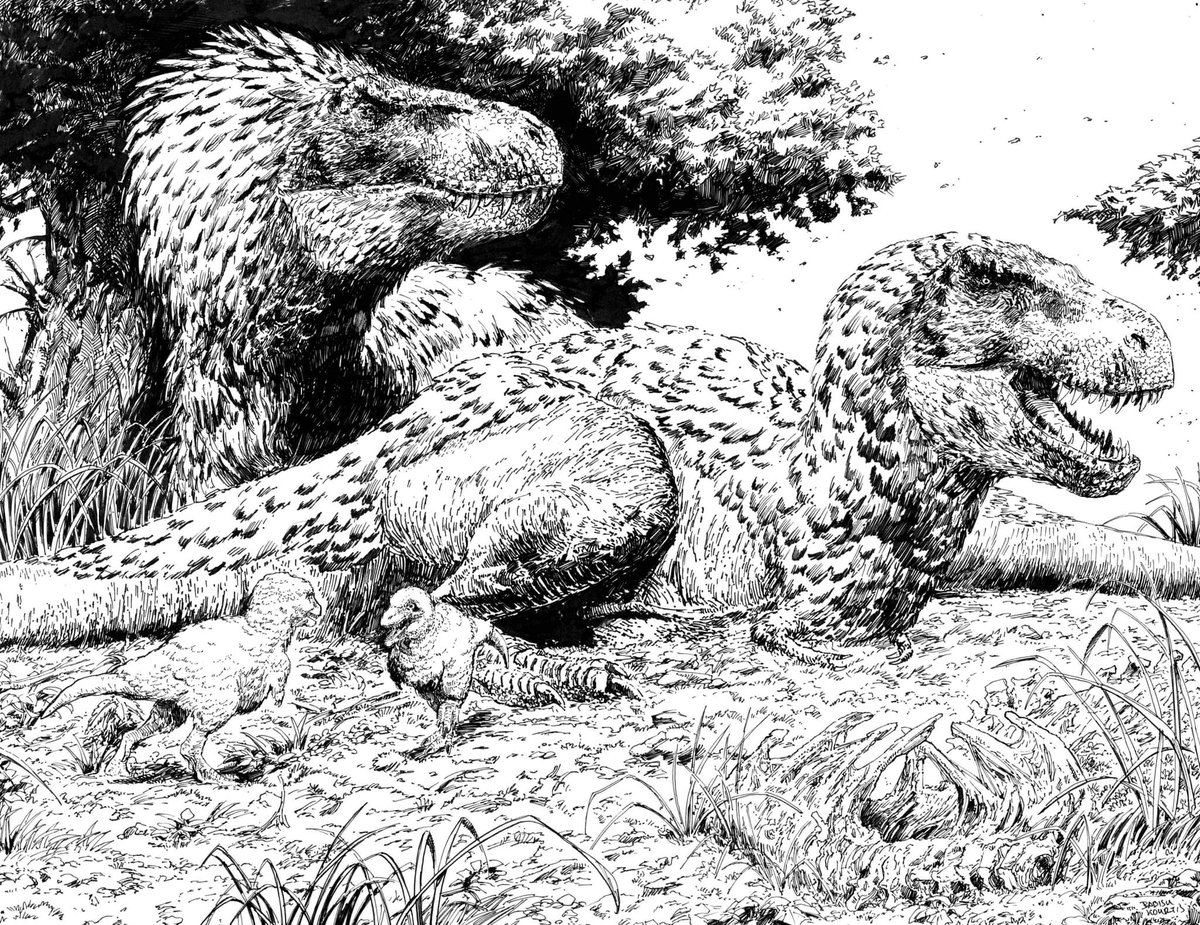 primitivewar's tweet photo. Sign up on Indiegogo for our comic, Primitive War Issue 1 - War Is Hell.

T. rex family illustrated by comic co-creator @BabisuKourtis 

https://t.co/fpvXJJmyQy

#primitivewar #dinosaurs #paleofiction #paleoart #comic #comics #indiecomics #indiecomicbooks #comicbooks #comicart https://t.co/r3O8hJrB7a