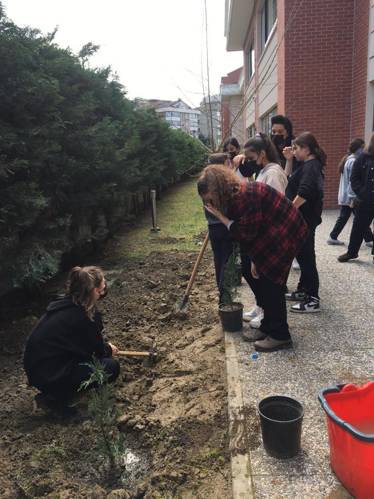 sadettin_turkun's tweet photo. Creasteam projesi kapsamında çevre bilinci kazandırmak adına öğrencilerimizle okulumuzun bahçesini ağaçlandırdık. @CreaSTEAM_proj #CreaSTEAM https://t.co/6Qzr8a9nZb
