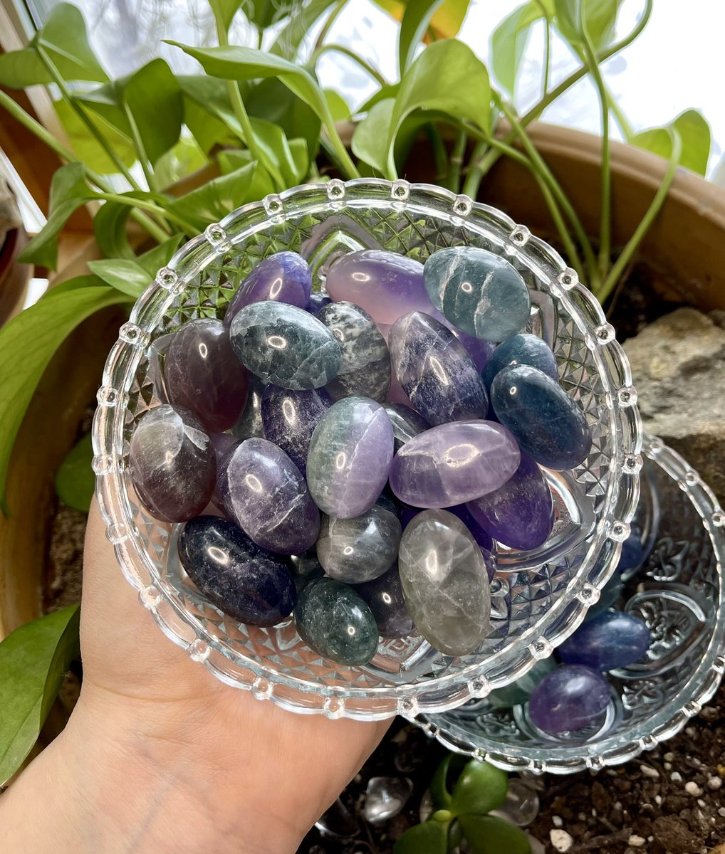 TODAY IS UPDATE DAY 💜✨ 

Set your alarms for 1pm est 🧚🏼‍♀️ it would mean the world if I hit my goal this week 🌸