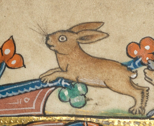 FitzMuseum_UK's tweet photo. #WeekendVibes😴 vs #MondayMood 😳

Happy #FitzFriday! We're spending the afternoon with our delightful manuscripts collection. Check them out ➡ https://t.co/PyI2ohOK71

🦁The Macclesfield Psalter (c.1330-1340), f.144v.
🐰The Pabenham-Clifford Hours (c.1315-1320), 29r. https://t.co/68C6aminQX