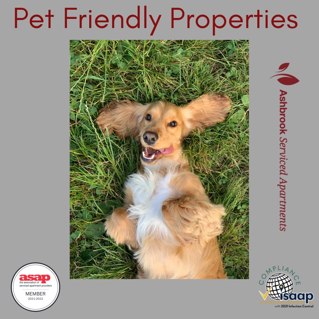 AshbrookLets's tweet photo. It’s Pet Awareness month … we would like you to be aware that we welcome pets at all of our locations! We are also ASAP members and ISAAP accredited …. @servicedaparts #petfriendlyaccommodation https://t.co/TU7scm8G89