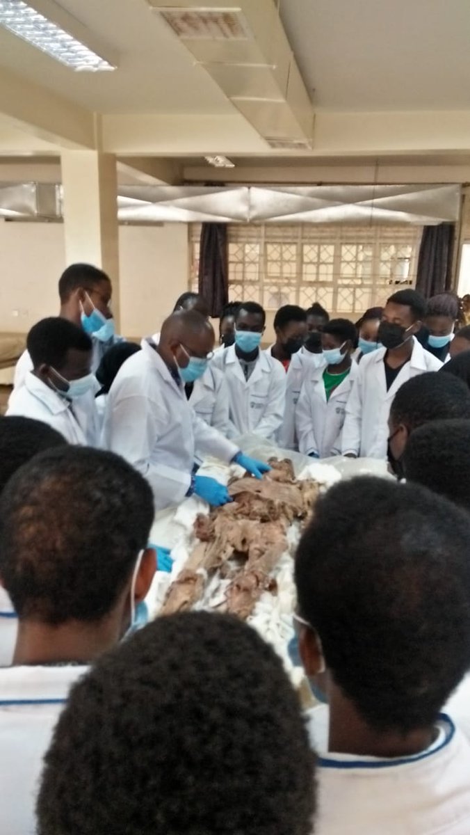 UmmaUniversity's tweet photo. Our Nursing students getting Human anatomy practical sessions at @KenyattaUni Anatomy lab. Enroll for the Nursing programme in the #May2022intake https://t.co/ZblKCnz7UW