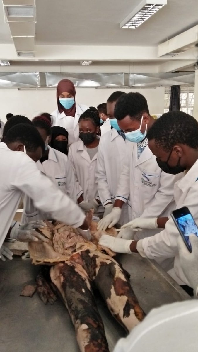 UmmaUniversity's tweet photo. Our Nursing students getting Human anatomy practical sessions at @KenyattaUni Anatomy lab. Enroll for the Nursing programme in the #May2022intake https://t.co/ZblKCnz7UW