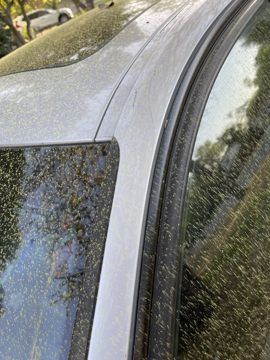 Diego Bernal tweet media