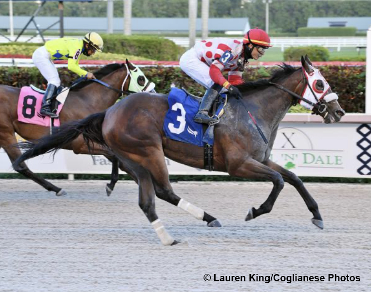 daily-racing-form-on-twitter-gulfstream-park-florida-breds-featured