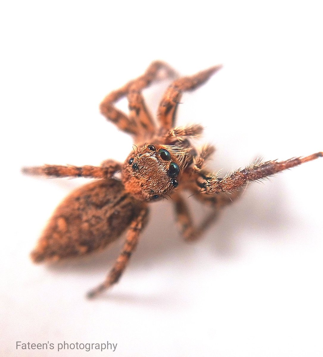 photography love (@capture_nature_) on Twitter photo 