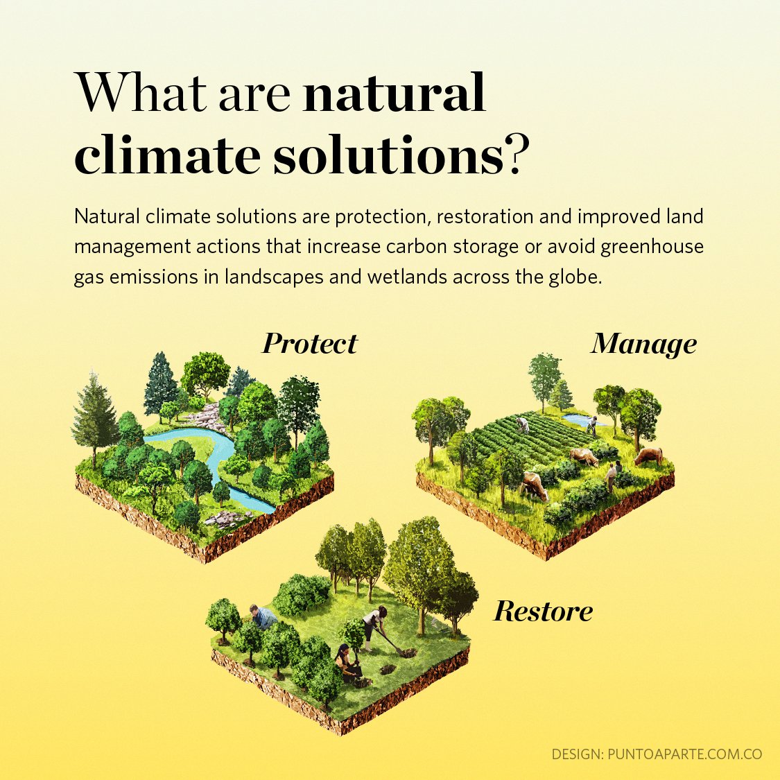 With the latest #IPCC climate report out, there’s much talk about new tech solutions to remove carbon from the air, but let’s not forget about the powerful solution we already have: nature. 

See how we can leverage the power of Natural Climate Solutions: nature.ly/37rmAhq