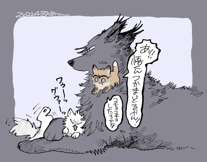 🐺🐶🦊 