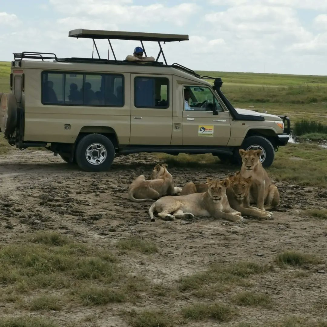 SenseNatureAds's tweet photo. #visittanzania 
#visitserengeti 
#explorenature 
info@sensenatureadventure.com https://t.co/M1f0UUbCOa