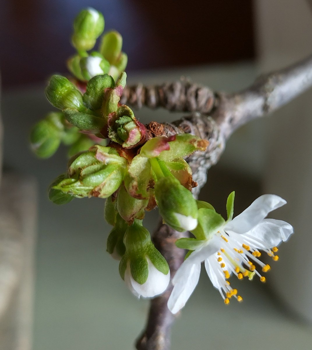 natalie__moser's tweet image. #Anfänge und erste Resultate #Schreibprozess