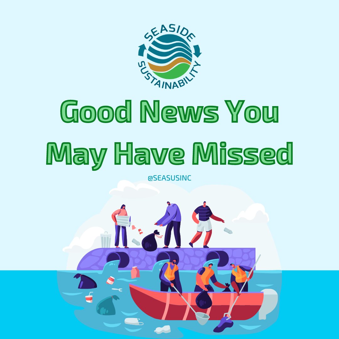 seasusinc's tweet photo. Everyday May Not Be A Good Day, But It Is Important To Find The Good In Every Day☀️. Hopefully This Weeks Good News Can Be a Highlight Of Your Day 🌎💚
#SeasideSustainability #Sustainability #Environment #SaveOurPlanet #GoodNews #Recycle #Reduce #PlasticFree #LimitWaste #Plastic https://t.co/NabgBs621A
