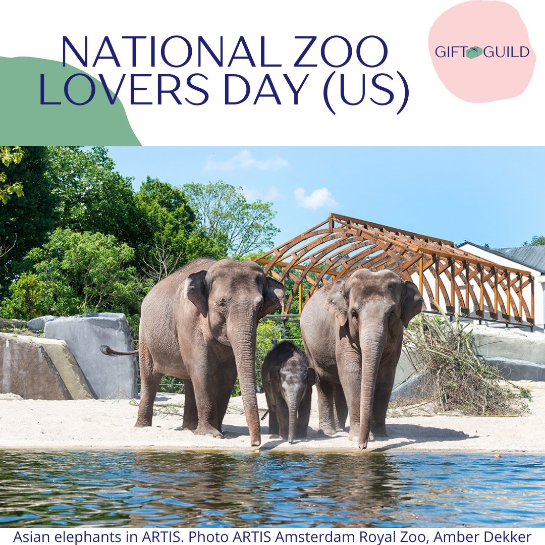 GiftGuild's tweet photo. Happy National Zoo Day (in the US... but the Artis deserves recognition too!) 

#GiftGuild #GiftCompanion https://t.co/5tOJUuvjfh