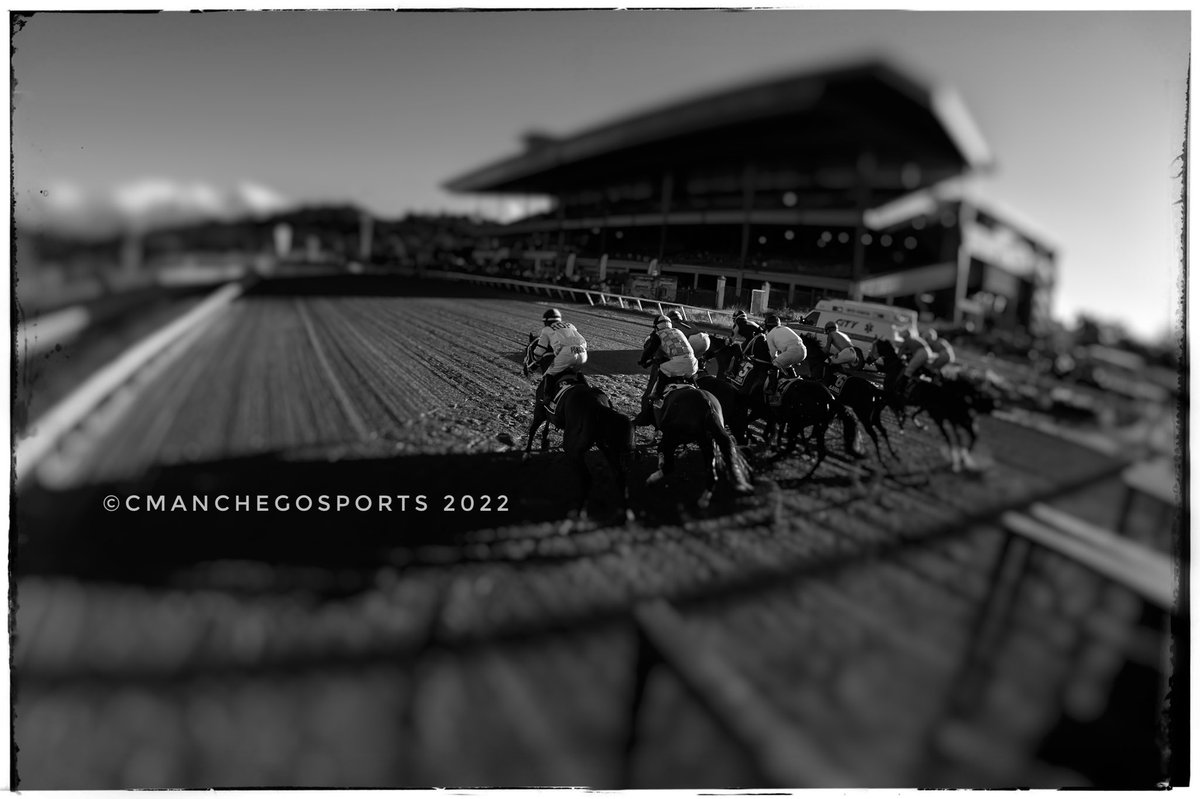 CManchegopr's tweet photo. No vayas por donde te lleve el camino, ve por donde no hay camino y deja un rastro. Feliz viernes #hipismo #HorseRacing #camareropr #SportsReformsKe https://t.co/v1ihWokw7k