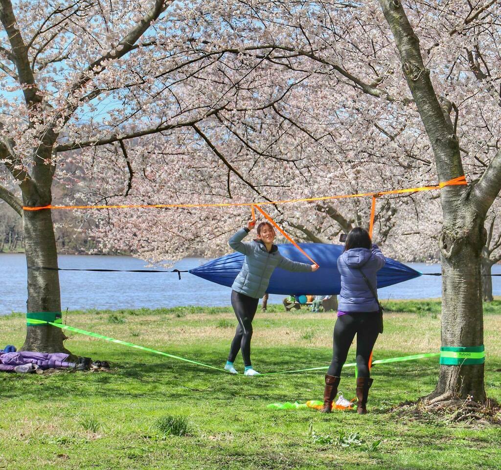 james_jkelly14's tweet photo. Happy Friday! Hang up a hammock amongst the cherry blossoms for a perfect Spring picnic in the park this weekend. ๐ธ๐ธ๐ธ #cherryblossom #nature #naturephotography #kellydrive #findinphilly #trees #hammock #schuylkillriver #philadelphia #philly #phillygrโฆ https://t.co/HdwS2qnM5D https://t.co/7kIIQYG8xx