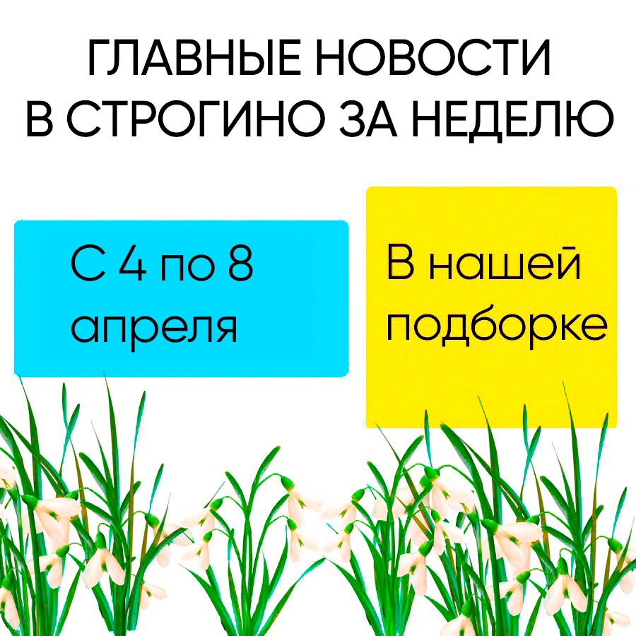 Ни одной пятницы не обходится без нашей традиционной подборки.

Сегодняшний день — не исключение.

Напомним, чем примечательна была эта неделя 👇

— [vk.com/wall-119177_33… возле детской поликлиники... hooppy.ru/shared?pid=435…