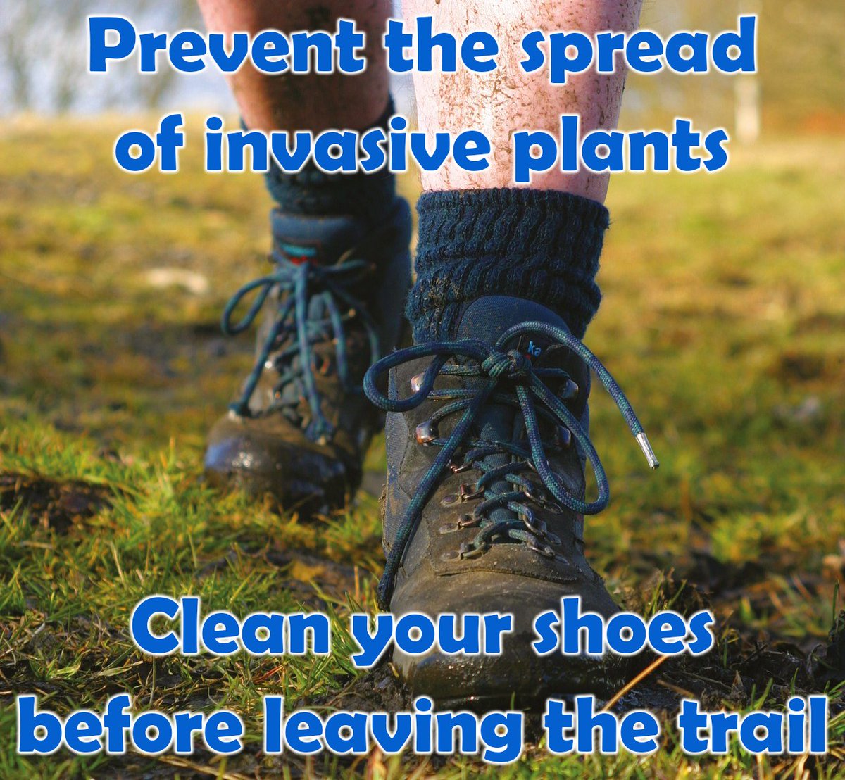 Trails can be quite muddy this time of year, making it easy for seeds to be transported on your shoes or hiking equipment. Thoroughly cleaning the mud from your gear will reduce the chances of spreading invasive species to the areas you visit.