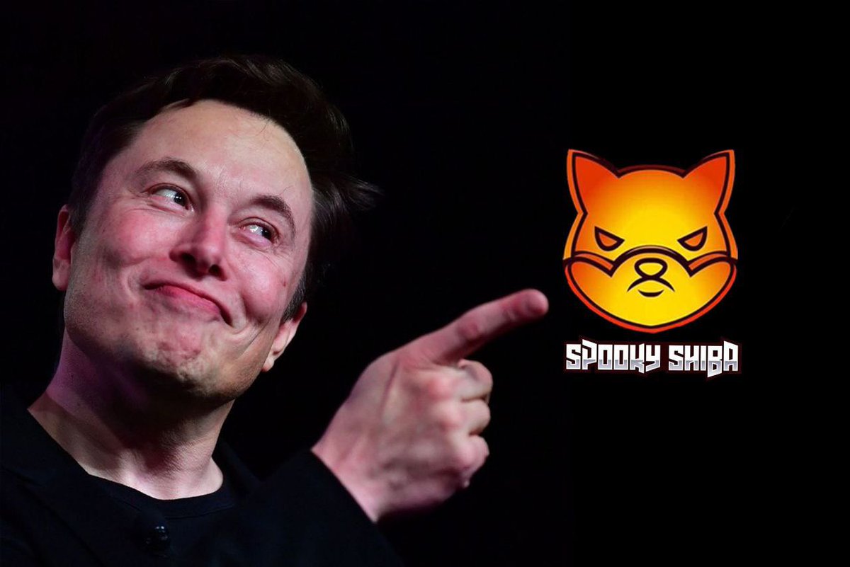 SPKYSHIB's tweet photo. If you sell your SpookyShiba now, you will be selling it to someone smarter than you. https://t.co/MSXFeAQIix