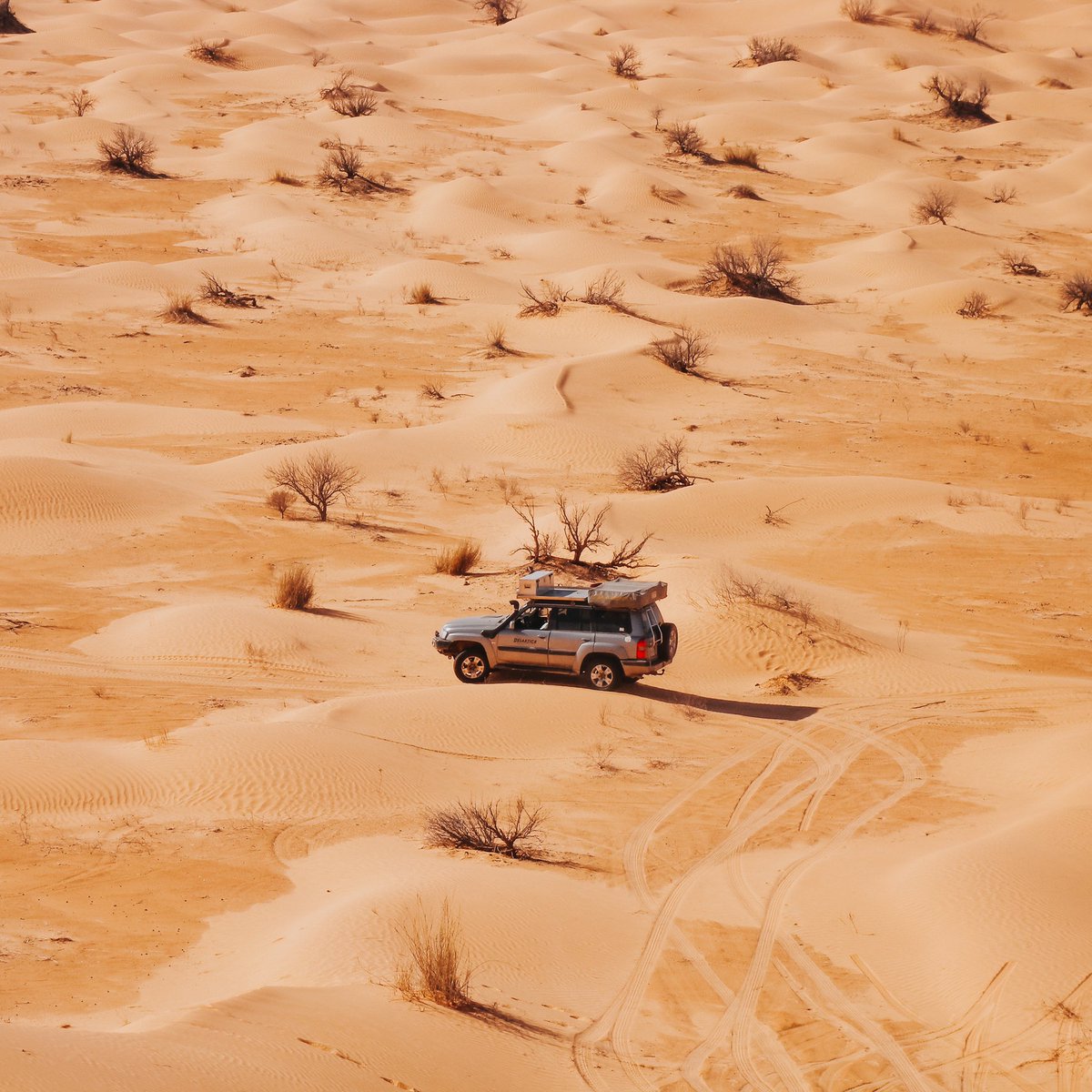 DESARTICA's tweet photo. Felici di essere tornati alle nostre fantastiche avventure fatte di sabbia, dune e notti trascorse sotto un meraviglioso cielo stellato 💛 

#desartica #viaggi #viaggiare #desert #Tunisia #experience https://t.co/p357NlWGLB