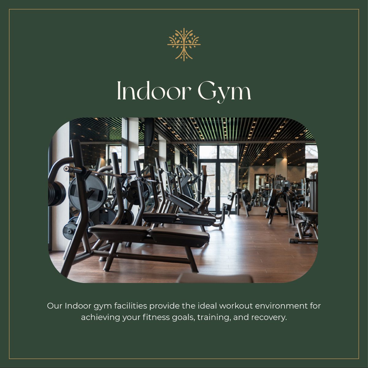 CannextRealty's tweet photo. Our state of the art facilities provide you with a great workout in a comfortable and supportive environment in our Indoor Gym here at Elegant City, Shahpur.
#cannextrealty #cannextgroup #elegantcity #nestleinnature #realty #realestate #realeatateagent #realestatelife https://t.co/YlGMPH72Kb