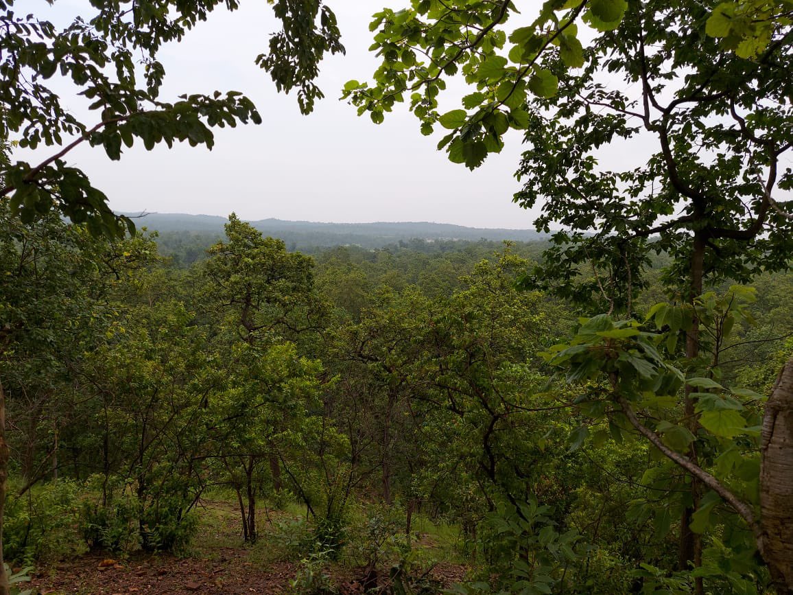 Let India Breathe || #StandWithManipur|| tweet media