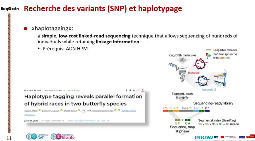 GeT_Genotoul's tweet photo. #AG #SeqOccIn The ongoing reflection : #haplotagging for variation detection, synthetic long reads and #epigenetics ... Stay tuned for the rest of the story! https://t.co/S29K5ebzRR