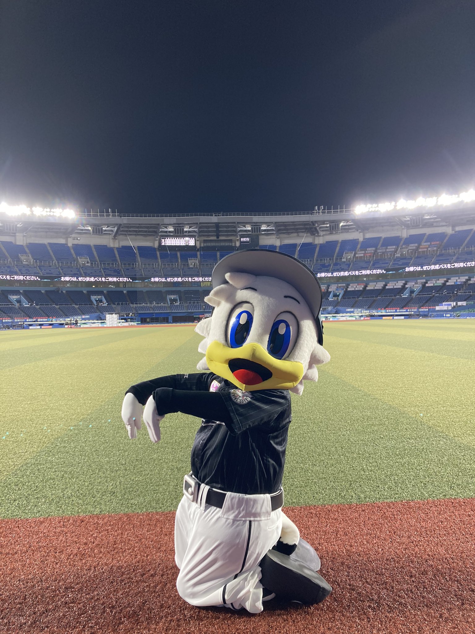 マーくん(千葉ロッテマリーンズ) on X: 