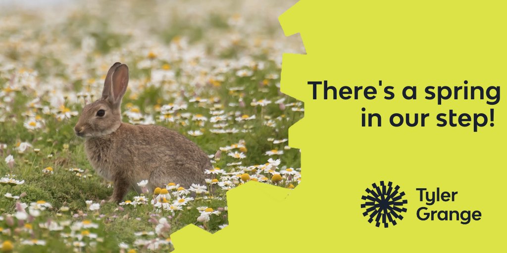 Tyler_Grange's tweet photo. 🌼🌸🌻🌳 With spring comes a change in landscape. Make sure you’re getting all of the documentation and surveying you need this season to ensure your project stays on track! Get in touch today 👉 https://t.co/TGHI4Jw0Nr

#springsurvey #nature #development https://t.co/iq1BQnkdtc