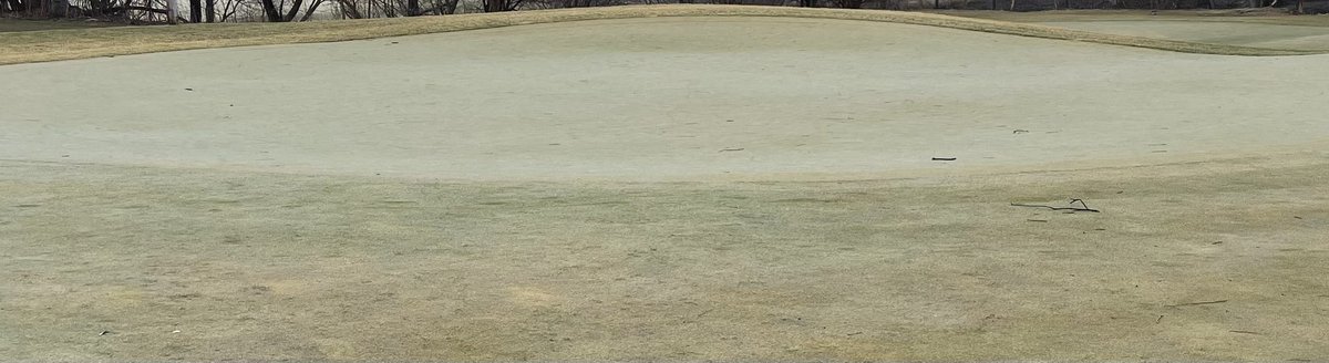 timster2x's tweet photo. Easiest hole locations on day 2!   Where on IGC? #theISpy https://t.co/YXZVQkRodH
