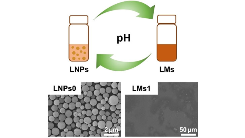 A Rapid and Reversible pH Control Process for the Formation and Dissociation of Lignin Nanoparticles (Dai, Si, and co-workers <a href="/chlxu/">Chunlin Xu</a>) onlinelibrary.wiley.com/doi/10.1002/cs…