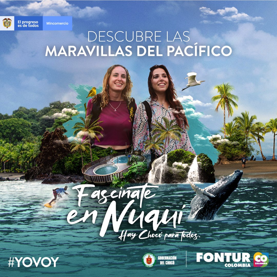 fonturcol's tweet photo. ¡#Nuqui es el lugar ideal para el avistamiento de ballenas!
Atrévete ya a descubrir las maravillas del pacífico y decir #YOVOY. Desde Fontur invertimos más de $118 millones. https://t.co/dcdvHKdmAW