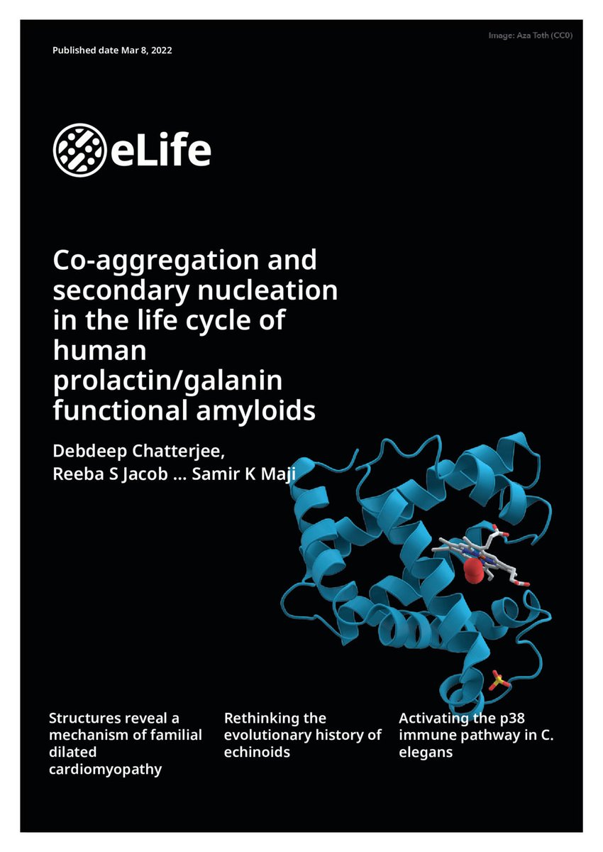 Samir K Maji (@samirkmaji1) on Twitter photo Wow! What a cover design by <a href="/eLife/">eLife - the journal</a> Production team for our article <a href="/debdeepchatter/">Debdeep Chatterjee</a><a href="/iitbombay/">IIT Bombay</a> <a href="/BsbeIitb/">Biosciences & Bioengineering, IIT Bombay</a>. Very happy to see this Wow! What a cover design by <a href="/eLife/">eLife - the journal</a> Production team for our article <a href="/debdeepchatter/">Debdeep Chatterjee</a><a href="/iitbombay/">IIT Bombay</a> <a href="/BsbeIitb/">Biosciences & Bioengineering, IIT Bombay</a>. Very happy to see this