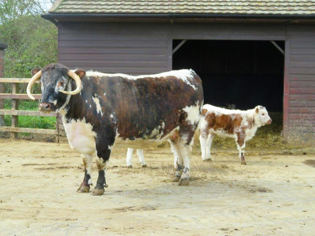 HMP Kirkham tweet media