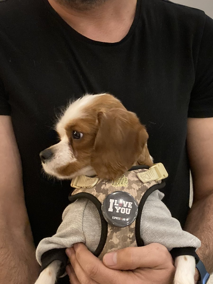 Kahve içmeye <a href="/espressolabtr/">Espressolab</a> ye geliyoruz. Çünkü #pati dostu.
#dost #espressolabtr hediye için teşekkür ederiz.