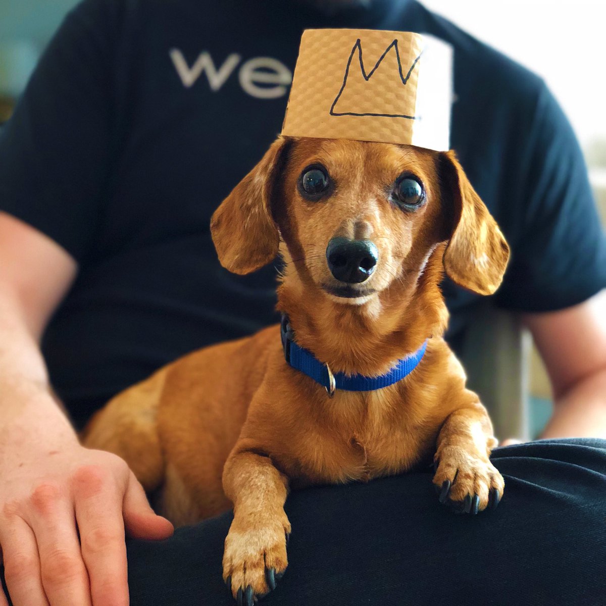 Greg Miller tweet media